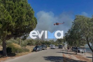 Φωτιά σε βιοτεχνία ανακύκλωσης στην Αλεξανδρούπολη: 112 για πυκνούς καπνούς