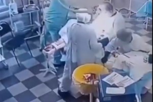 Ιαπωνία: Φάλαινες ξεβράστηκαν σε ακτή μετά το τσουνάμι - Πώς εξηγείται το φαινόμενο [βίντεο]