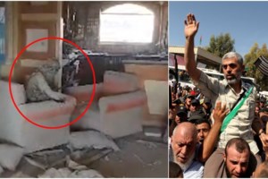 Πειραιάς: Οι λιμενεργάτες εμπόδισαν πλοίο να φορτώσει κοντέινερ με πολεμοφόδια για το Ισραήλ [βίντεο - εικόνες] - εικόνα 3