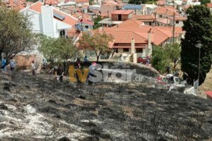 Μεσσηνία: Συνελήφθη 78χρονος για πρόκληση εμπρησμού από πρόθεση, αλλά... αφέθηκε ελεύθερος