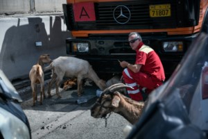 Παραλίγο τραγωδία στην παραλιακή: Μηχανή της ΔΙΑΣ παρέσυρε πεζή κατά τη διάρκεια καταδίωξης - εικόνα 5