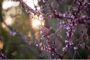 Πρόγνωση Αρναούτογλου: Ηλιος, εξασθενημένοι άνεμοι και θερμοκρασία στους 28 βαθμούς