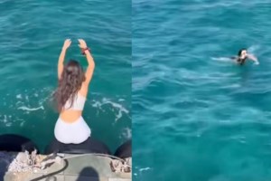 Η δύναμη της ευκαιρίας: Η Σπέτσι, το γατάκι που έσωσε η τουρίστρια στις Σπέτσες, υιοθετήθηκε και πάει Αμερική