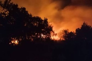 Φωτιά στη Θάσο: Μάχη να μην περάσουν οι φλόγες τον Θεολόγο - Κάηκαν τα μοναδικά έλατα του νησιού