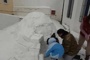 Βοιωτία: Έφτιαξαν το δικό τους ιγκλού και μάλιστα με όλα τα αξεσουάρ [βίντεο] - εικόνα 5