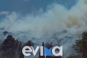 Μεγάλη φωτιά σε δασική έκταση στην Κυνουρία - Επιχειρούν και ενάερια μέσα
