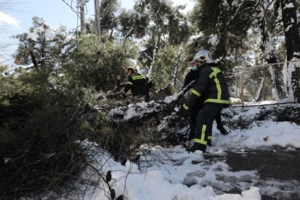 Συρίγος : Δύσκολο να ανοίξουν τα Πανεπιστήμια – Τι είπε για τα σχολεία - εικόνα 2