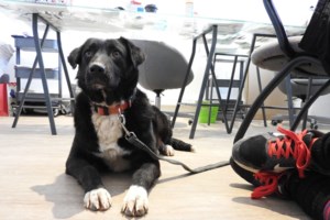 Η Λου: Εμάς αυτά τα κορίτσια τα τσουπωτά, με τη γούνα τη διπλή, τριπλή, την αναρχική, μάς αρέσουν πάρα μα πάρα πολύ - εικόνα 3