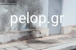 Χαλκιδική: Μάχη με τις φλόγες στην Κασσάνδρα - Ενισχύονται οι δυνάμεις της πυροσβεστικής [εικόνες]