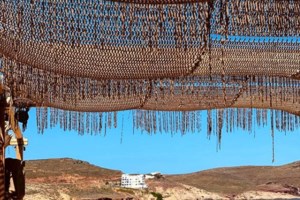 Μύκονος: Ελεγχοι σε εταιρείες ενοικιάσεως αυτοκινήτων - Αφαιρέθηκαν 41 άδειες κυκλοφορίας