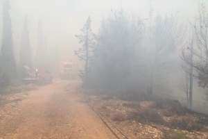 Διεθνής μελέτη: Αλλάζουν οι πυρκαγιές στην Ευρώπη και ειδικότερα στη Μεσόγειο λόγω κλιματικής αλλαγής - εικόνα 2