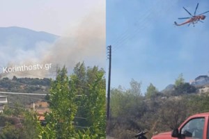 Πυρκαγιά κοντά σε σπίτια στην Κεφαλονιά: Κινητοποιήθηκαν επίγειες και εναέριες δυνάμεις