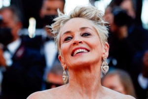 Σάρον Στόουν: Σηκώθηκε, ξεκούμπωσε το φερμουάρ του και μου είπε ότι πρώτα έπρεπε να κάνω αυτό που ήθελε - εικόνα 5