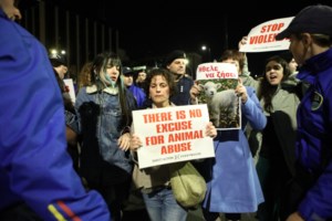 Ρέθυμνο: 30χρονος σωματοφύλακας γνωστού εφοπλιστή πυροβόλησε κατά λάθος φίλη του - Την τραυμάτισε σοβαρά