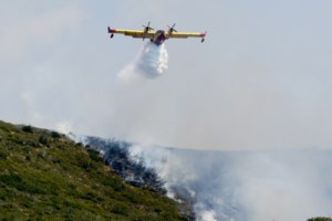 Φωτιά ξανά στην Ηλεία: Καίει ελαιόδενδρα στο Τραγανό