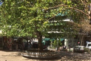 Τέλος τα κορονο-πάρτι στην πλατεία Βαρνάβα: Δυνάμεις της ΕΛΑΣ με πάνω από 100 άτομα φρουρούν την περιοχή [Εικόνες] - εικόνα 5