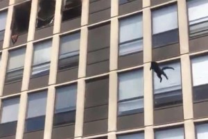 Ο μαύρος απολογισμός των πυρκαγιών στην Ελλάδα: Εγιναν στάχτη 8 εκατ. στρέμματα από το 2000 [βίντεο] - εικόνα 3