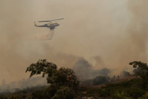 Σύγκρουση πλοίων στο λιμάνι της Ηγουμενίτσας [βίντεο] - εικόνα 2