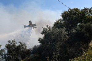Ηλεία: Προσήγαγαν ύποπτο για εμπρησμό - Χωρίς ενεργό μέτωπο οι πυρκαγιές σε Τραγανό και Βάρδα – Καλή η εικόνα στα Άγναντα - εικόνα 7