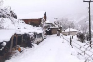 Κακοκαιρία Διομήδης: Συγκλονιστική διάσωση κουταβιών που κινδύνεψαν να πνιγούν [Εικόνες - Βίντεο] - εικόνα 2