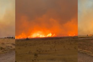 Φωτιά στη Δυτική Αττική: Ο Λέκκας εξηγεί γιατί ξέφυγε η κατάσταση - Υπήρξε εκρηκτικό "κοκτέιλ" συνθηκών