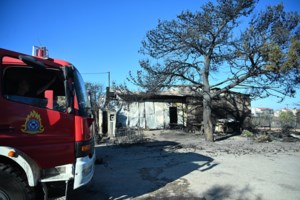 Η επόμενη ημέρα στην Πεντέλη: Τεχνητή αναδάσωση και δέντρα που δεν θα μετατρέπονται σε καύσιμη ύλη