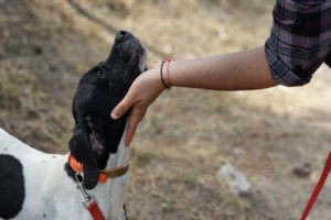 "Είμαστε φίλοι ε;":  Ο Εντι αντιμετωπίζει τους πάντες και τα πάντα με αυτό το στιλ - εικόνα 2