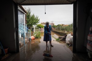 Πάρνηθα: Καταγγελία ότι ελάφι ψυχορραγούσε επί τρεις μέρες στη μέση του δρόμου και το δασαρχείο αδιαφορούσε