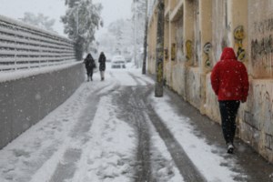 Περιστέρι όπως... Παρνασσός: Εγινε "χιονοδρομικό κέντρο" - Σκιέρ βγήκε στο δρόμο [βίντεο]
