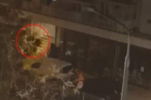 ΕΚΤ: Εξαιρετικό το σχέδιο της Ελλάδας να χρησιμοποιήσει τα κονδύλια της ΕΕ για την πανδημία