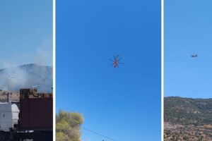 Mεγάλη φωτιά στη Βοιωτία: Ενα χλμ από το Δίστομο οι φλόγες - Πυροσβέστες και κάτοικοι παλεύουν να μην φτάσουν στα σπίτια - εικόνα 2