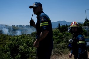 Φωτιά στην Χαλκίδα: Κοντά σε σπίτια οι φλόγες - Οι πρώτες εικόνες - εικόνα 3