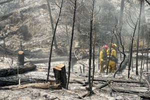 Mεγάλη φωτιά στη Βοιωτία: Ενα χλμ από το Δίστομο οι φλόγες - Πυροσβέστες και κάτοικοι παλεύουν να μην φτάσουν στα σπίτια - εικόνα 4