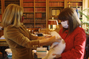 Ο Προκόπης Παυλόπουλος "δεν αντέχει" τη Σακελλαροπούλου - Πόλεμος μέσω της εφημερίδας "Εστία" - εικόνα 3