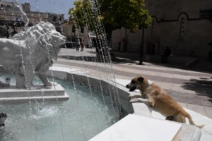 Συναγερμός για τον επικίνδυνο καύσωνα στην Ελλάδα - Λαγουβάρδος: Αυτό που μας ανησυχεί είναι η διάρκεια - εικόνα 3