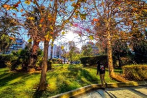 Κύμα ζέστης στην Ελλάδα ενώ η Ευρώπη θα "πνιγεί" στα χιόνια - Τι αναμένεται τις επόμενες ημέρες - Τι καιρό θα κάνει τα Θεοφάνια - εικόνα 3