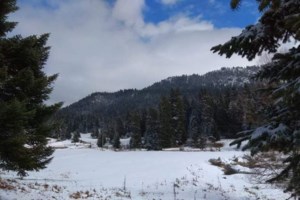 Διακοπή της κυκλοφορίας φορτηγών άνω των 3,5 τόνων στην Εγνατία Οδό