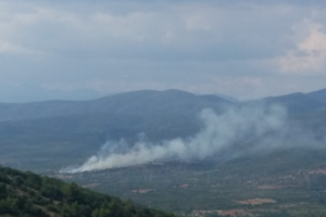 Οριοθετήθηκε η φωτιά στην Φυλή Αττικής: Κάηκε δασική έκταση κοντά στο γήπεδο του Θρασύβουλου
