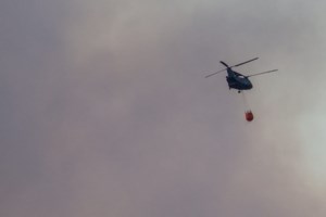 Φωτιά στον Εβρο: Πέμπτη μέρα σκληρής μάχης με τις φλόγες στο δάσος της Δαδιάς - Εκκενώθηκε το χωριό Λευκίμη - εικόνα 4