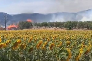 Φωτιά σε εργοστάσιο ξυλείας στις Σέρρες: Μάχη με τις φλόγες στο Νέο Σούλι - Ήχησε το 112, "μείνετε σε ετοιμότητα" - εικόνα 5