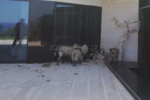 ΕΛΑΣ: Μάνα και γιος έκαναν το "κλιμάκιο του ΙΚΑ" και "έγδυναν" καταστήματα στο κέντρο της Αθήνας - εικόνα 3