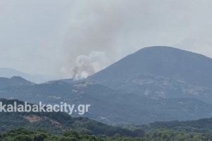 Φωτιά στον Άγιο Βλάσιο Βοιωτίας: Σηκώθηκαν πέντε αεροσκάφη και ένα ελικόπτερο - Εστάλη 112