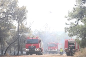 Μεγάλη φωτιά στο Λιτόχωρο - Στη μάχη εναέρια μέσα