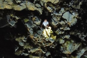 Ρέθυμνο: Ασυνείδητος πυροβολεί και τραυματίζει γάτες με αεροβόλο