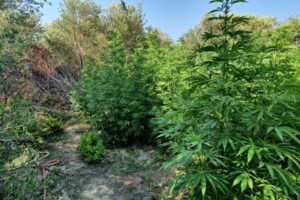 Μεγάλο "χτύπημα" σε διεθνές κύκλωμα ναρκωτικών: 28 κιλά κοκαΐνης αξίας 1,2 εκατ. ευρώ στα χέρια της ΕΛ.ΑΣ - εικόνα 4