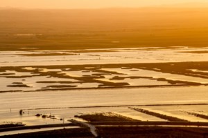 Ενόχληση στη Χαριλάου Τρικούπη για την παρέμβαση Δούκα και τον ΟΠΕΚΕΠΕ: "Πριν τοποθετηθεί, ας ενημερωθεί"