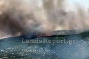 Πολλά και κρίσιμα τα μέτωπα στη φωτιά στο Πετρωτό Δομοκού - Μάχη με τις φλόγες και τους ανέμους - εικόνα 4