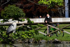 Ραντεβού για εμβόλια: Έλαβαν sms χωρίς να ανήκουν σε ευπαθή ομάδα - Η εξήγηση Θεμιστοκλέους