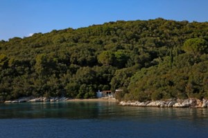 Απίστευτο θράσος από τους υπαλλήλους του ΕΤΑΔ: Είχαν νοικιάσει ακόμα και το κλειστό του Τάε Κβον Ντο - εικόνα 3