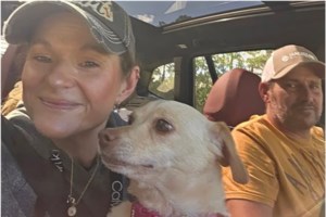 Μεσσηνία: Βίντεο ντοκουμέντο από την επίθεση του σκύλου στον ιδιοκτήτη του - Ο 76χρονος ζήτησε από τον αστυνομικό να πυροβολήσει το ζώο